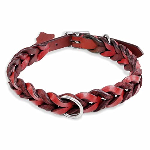 Monkimau Halsband Hund echt Leder Hunde Halsbänder rot geflochten Lederhalsband verstellbar Dog Collar Hundehalsband (L-M: 25mm x 60cm) von Monkimau