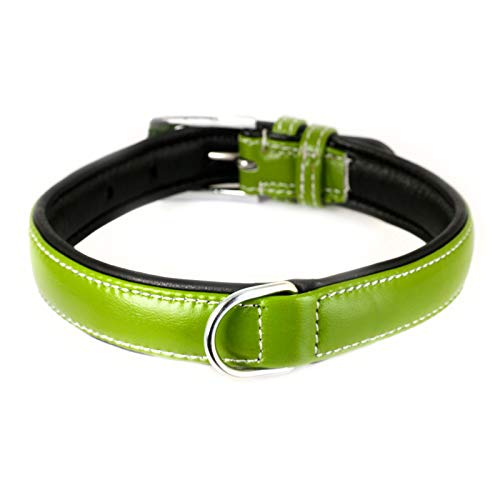 Monkimau Hundehalsband aus Leder Halsband für Hunde Lederhalsband weich gepolstert (S-M, grün) von Monkimau