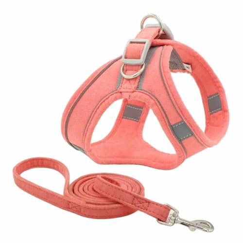 Monkimau Hundegeschirr mit Leine für kleine Hunde - Komfortables Weiches Geschirr, Ideal für Kleine bis Mittelgroße Hunde und Katzen, Türkis XXXS (Pink, M) von Monkimau