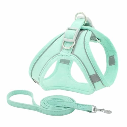 Monkimau Hundegeschirr mit Leine für kleine Hunde - Komfortables Weiches Geschirr, Ideal für Kleine bis Mittelgroße Hunde und Katzen, Türkis XXXS (Türkis, M) von MONKIMAU