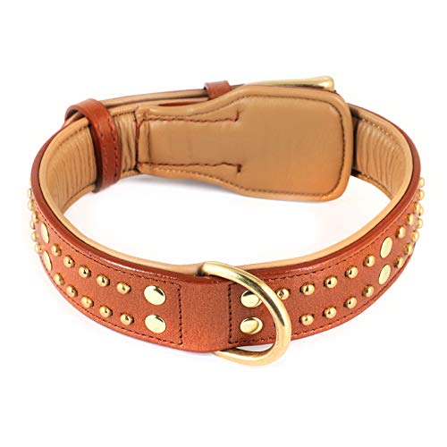 Monkimau Hundehalsband - Halsband für Hunde aus Leder mit Nieten gepolstert verstellbar (L-XL: 35mm x 70cm) von MONKIMAU