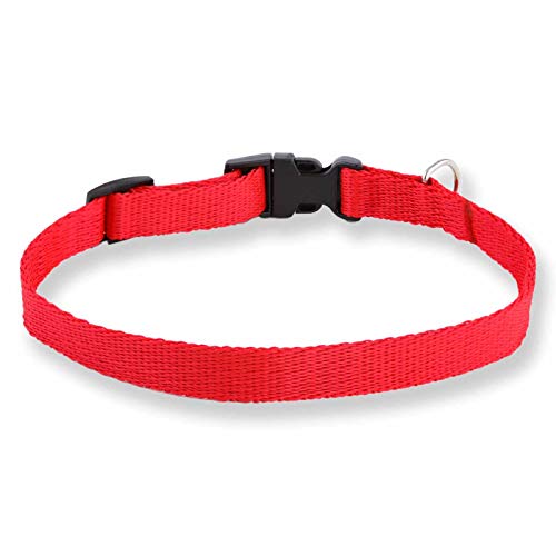 Monkimau Hundehalsband Schnellverschluss aus Nylon (16mm x 29-44cm, rot) von MONKIMAU