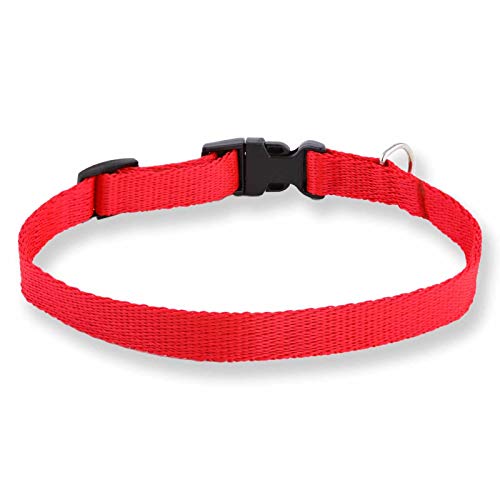 Monkimau Hundehalsband Schnellverschluss aus Nylon (16mm x 29-44cm, rot) von Monkimau