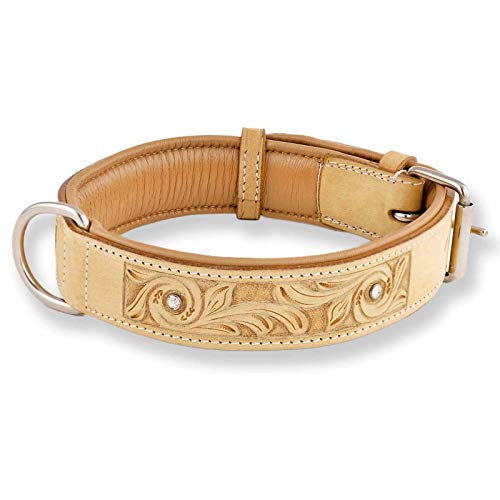 Monkimau Hundehalsband aus Leder - Halsband für Hunde mit Strass Kristall in Beige (L: 35mm x 65cm) von Monkimau