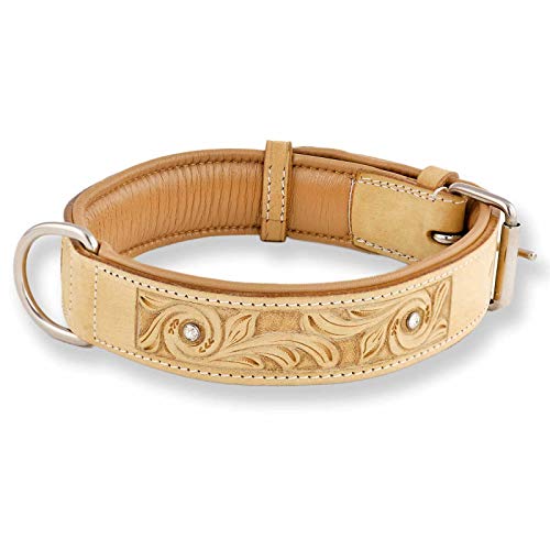 Monkimau Hundehalsband aus Leder - Halsband für Hunde mit Strass Kristall in Beige (XS-S: 25mm x 40cm) von MONKIMAU