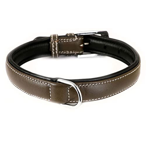 Monkimau Hundehalsband aus Leder Halsband für Hunde Lederhalsband weich gepolstert (S, braun) von MONKIMAU