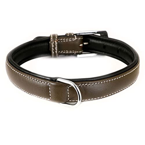 Monkimau Hundehalsband aus Leder Halsband für Hunde Lederhalsband weich gepolstert (S, braun) von Monkimau