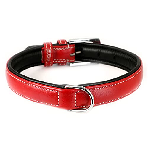 Monkimau Hundehalsband aus Leder Halsband für Hunde Lederhalsband weich gepolstert (XS-S, rot) von Monkimau