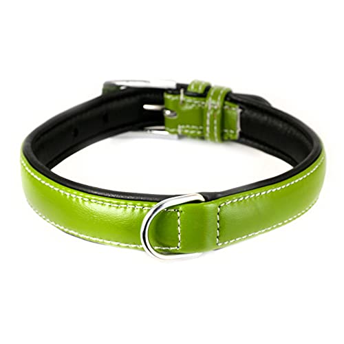 Monkimau Hundehalsband aus Leder Halsband für Hunde Lederhalsband weich gepolstert (M-L, grün) von Monkimau