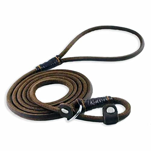 Monkimau Hundeleine Kleine Hunde Leicht 1,5m Lang Retrieverleine mit Zugstopp aus Leder Hundeleine Mittelgroße Hunde Lederleine Hund mit Halsband Schlupfleine Showleine braun von MONKIMAU