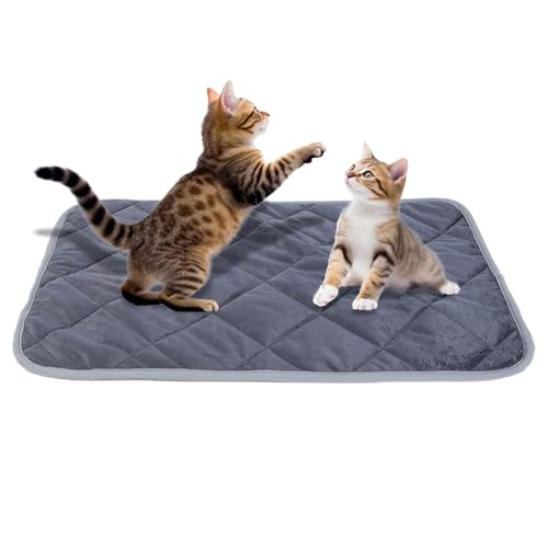 Monozoz Bett für Hundekäfig, warmes Kissen für den Innenbereich, waschbar, Haustier-Schlafkissen für Käfig, Zwinger, Auto, Zuhause, Haustier, Ruhephase, Reisen von Monozoz