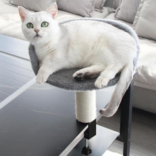 Monozoz Katzenbett für den Schreibtisch, um 360° drehbar, verstellbar, Katzen-Hängemattenbett, bequem, weich, für alle Jahreszeiten, Ø 31 cm, perfektes Büro, Arbeit, Schreibtisch, Katzenbett von Monozoz