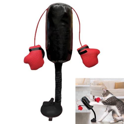 Monozoz Katzenspielzeug für Indoor-Katzen, Boxsack-Design mit Handschuhen, interaktives Haustier-Spielzeug, Kätzchen-Spielzeug für Bewegung und Langeweile von Monozoz