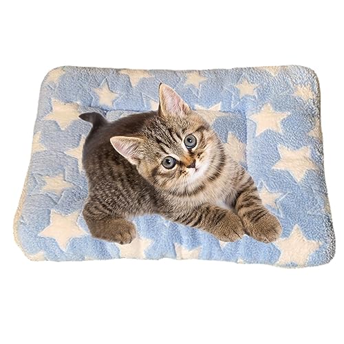Monozoz Kuschelige beruhigende Decke für Katzen, warm, maschinenwaschbar, Katzenkissen für Nervosität und Stress, kleine Haustierdecke für Indoor-Katzen und Hunde, Hundekissen Monozoz Kuschelige beruhigende Decke für Katzen, warm, maschinenwaschbar, Katzenkissen für Nervosität und Stress, kleine Haustierdecke für Indoor-Katzen und Hunde, Hundekissen von Monozoz