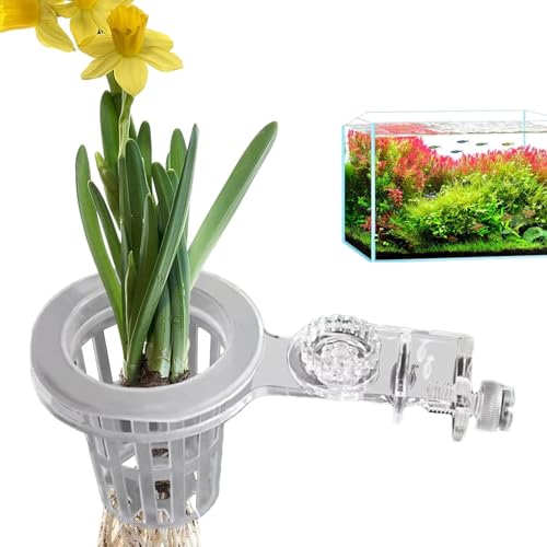 Monozoz Pflanzenhalter für Aquarien, Aquarium-Pflanzgefäß, Aquarium-Dekoration, Hängepflanzen-Halter, Becher, Wasserpflanzenkorb, Aquaponischer Pflanzbecher, Aquarium-Dekoration Monozoz Pflanzenhalter für Aquarien, Aquarium-Pflanzgefäß, Aquarium-Dekoration, Hängepflanzen-Halter, Becher, Wasserpflanzenkorb, Aquaponischer Pflanzbecher, Aquarium-Dekoration von Monozoz