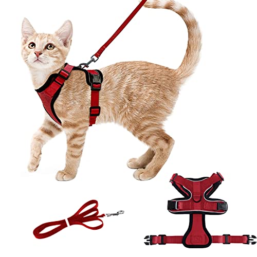 Monsully Katzengeschirr mit Leine, Katzenleine mit Geschirr für Katzen Verstellbares Katzengeschirr mit Reflektierenden Streifen Brustgeschirr für Kleine Mittelgroße Katzen, XS, Rot Monsully Katzengeschirr mit Leine, Katzenleine mit Geschirr für Katzen Verstellbares Katzengeschirr mit Reflektierenden Streifen Brustgeschirr für Kleine Mittelgroße Katzen, XS, Rot von Monsully