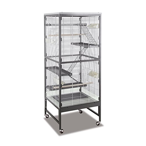 Montana Cages | Voliere, Zimmervoliere, Käfig Casa 60 für Nager (Sevilla I) - Antik/Platinum von Montana Cages