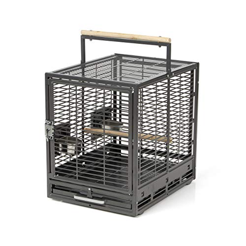Montana Cages | Transportkäfig EVO für Sittiche & Papageien - Antik | Transportkäfig & Reisekäfig von Montana Cages
