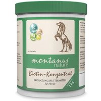 Montanus ® nature Biotin-Konzentrat 1 kg von Montanus