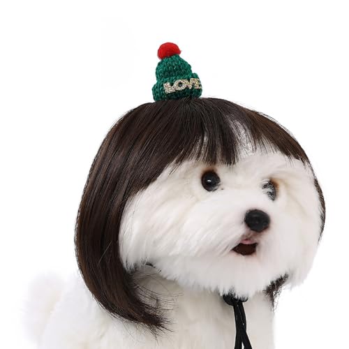 Montesy Haustier-Perücke, Hut für Weihnachten, Party, Requisiten, kleine Hunde und Katzen, Perücken für Festivals, Versammlungen, Haustier-Fotoshooting-Requisiten Montesy Haustier-Perücke, Hut für Weihnachten, Party, Requisiten, kleine Hunde und Katzen, Perücken für Festivals, Versammlungen, Haustier-Fotoshooting-Requisiten von Montesy