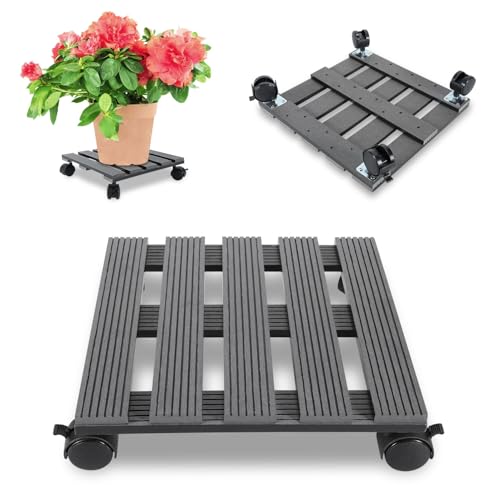 Monucep Pflanzenroller 30x30CM, Blumenroller Tragkraft 80 KG, mit feststellbaren Rollen, Schwere Blumentopf Gefäßroller für den Innen- und Außenbereich, Grau Monucep Pflanzenroller 30x30CM, Blumenroller Tragkraft 80 KG, mit feststellbaren Rollen, Schwere Blumentopf Gefäßroller für den Innen- und Außenbereich, Grau von Monucep