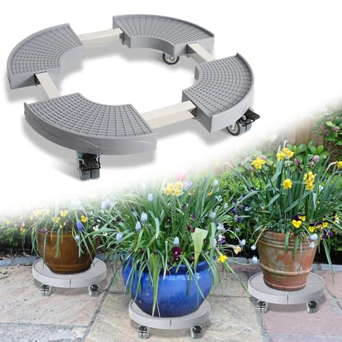 Monucep Pflanzenroller Einstellbare 38-54 cm, Rollbrett Pflanzen Tragkraft 200kg, Blumenroller Rund mit 360 ° Drehbare Rädern, Blumentopf Gefäßroller für den Innen- und Außenbereich, Grau Monucep Pflanzenroller Einstellbare 38-54 cm, Rollbrett Pflanzen Tragkraft 200kg, Blumenroller Rund mit 360 ° Drehbare Rädern, Blumentopf Gefäßroller für den Innen- und Außenbereich, Grau von Monucep