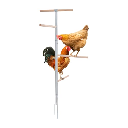 Hühnersitzstange Hühnersitzständer aus Eisen und Massivholz, Geflügelständer Außenperch-Spielzeug Sitzstange mit 4 Hölzernen Stangen, Holzhühner-Raststange mit Erdspieß-Einsätze für Hühner, Papageien von MooBeey