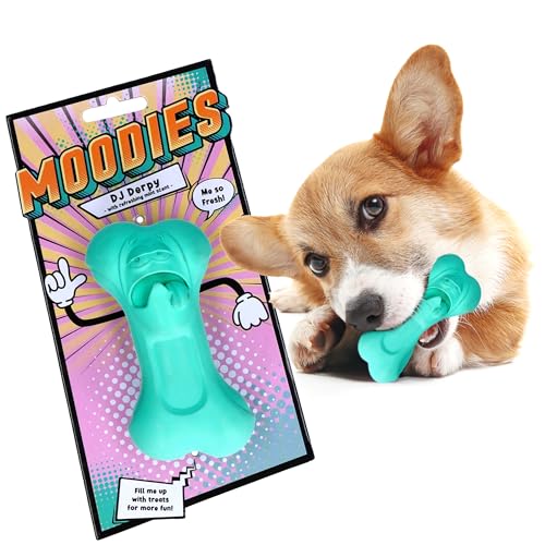 Moodies unzerstörbares Hundespielzeug - DJ Derpy Minze - Duftender Hund Kauknochen - 100% Naturkautschuk - Zahnpflegespielzeug & Intelligenzspielzeug von Moodies