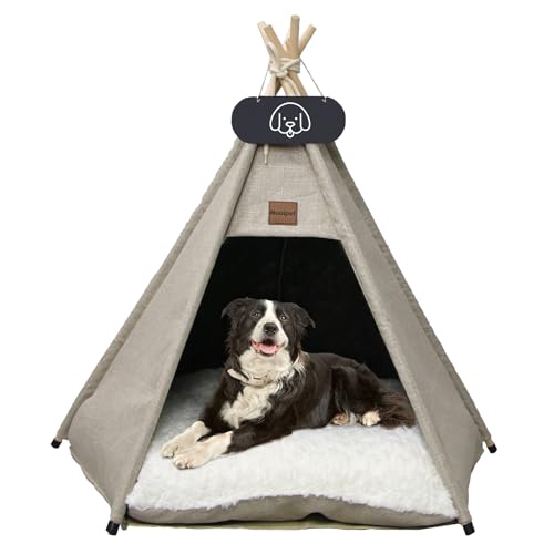 Mooipet Tipi Zelt für Haustiere mit doppelseitigem Kissen Haustierzelt für Hunde/Katzen Haustierhütte Abnehmbar und Waschbar Hundehaus für Meerschweinchen Kaninchen Hamster Kätzchen 40x40x50cm Mooipet Tipi Zelt für Haustiere mit doppelseitigem Kissen Haustierzelt für Hunde/Katzen Haustierhütte Abnehmbar und Waschbar Hundehaus für Meerschweinchen Kaninchen Hamster Kätzchen 40x40x50cm von Mooipet
