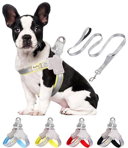 Moonpet Hundegeschirr mit Leine personalisierbar mit Hundename und Telefonnummer, Hundegeschirr für Welpen XS kleine mittelgroße und große Hunde von Moonpet
