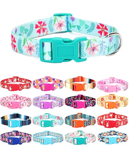 Moonpet Hundehalsband für Welpen, Größe XS, S, M, L, Uni, niedliches Design, für Jungen und Mädchen, weich, verstellbar, Bohemia, ausgefallenes Blumenmuster, Größe M Moonpet Hundehalsband für Welpen, Größe XS, S, M, L, Uni, niedliches Design, für Jungen und Mädchen, weich, verstellbar, Bohemia, ausgefallenes Blumenmuster, Größe M von Moonpet