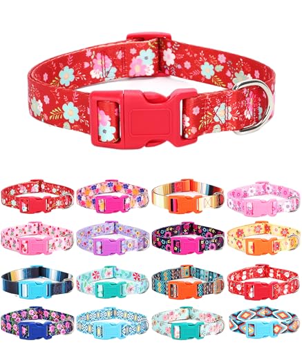 Moonpet Hundehalsband für Welpen, Größe XS, S, M, L, Uni, niedliches Design, für Jungen und Mädchen, weich, verstellbar, Bohemia, ausgefallenes Blumenmuster, Größe M Moonpet Hundehalsband für Welpen, Größe XS, S, M, L, Uni, niedliches Design, für Jungen und Mädchen, weich, verstellbar, Bohemia, ausgefallenes Blumenmuster, Größe M von Moonpet
