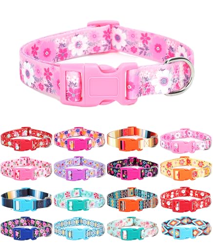 Moonpet Hundehalsband für Welpen, Größe XS, S, M, L, Uni, niedliches Design, für Jungen und Mädchen, weich, verstellbar, Bohemia, ausgefallenes Blumenmuster, Rosa, Gänseblümchen, Größe S Moonpet Hundehalsband für Welpen, Größe XS, S, M, L, Uni, niedliches Design, für Jungen und Mädchen, weich, verstellbar, Bohemia, ausgefallenes Blumenmuster, Rosa, Gänseblümchen, Größe S von Moonpet