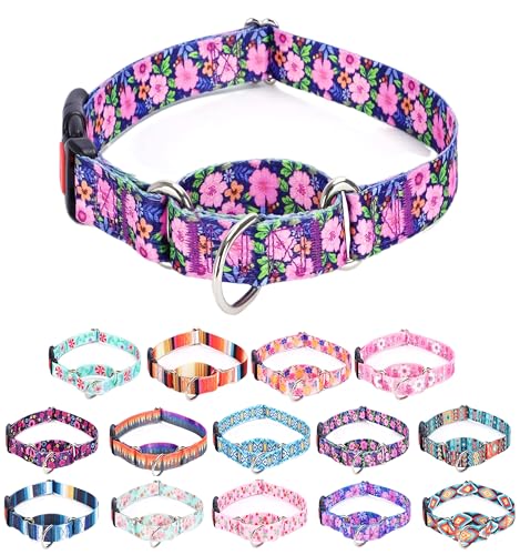 Moonpet Martingale Halsband für Hunde, verstellbar, weich, langlebig, für kleine, mittelgroße und große Jungen und männliche Hunde, kein Ziehen, rutschfeste Sicherheitsschnalle, Hundehalsband, Moonpet Martingale Halsband für Hunde, verstellbar, weich, langlebig, für kleine, mittelgroße und große Jungen und männliche Hunde, kein Ziehen, rutschfeste Sicherheitsschnalle, Hundehalsband, von Moonpet