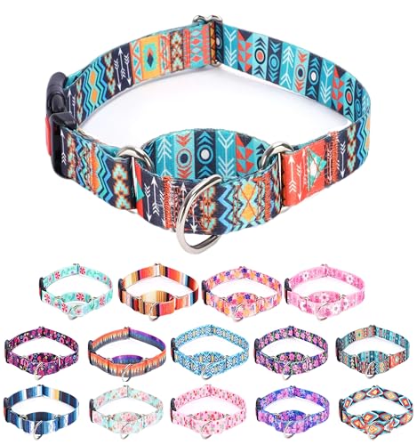 Moonpet Martingale Halsband für Hunde, verstellbar, weich, langlebig, für kleine, mittelgroße und große Jungen und männliche Hunde, kein Ziehen, rutschfeste Sicherheitsschnalle, Hundehalsband, Maya/S Moonpet Martingale Halsband für Hunde, verstellbar, weich, langlebig, für kleine, mittelgroße und große Jungen und männliche Hunde, kein Ziehen, rutschfeste Sicherheitsschnalle, Hundehalsband, Maya/S von Moonpet