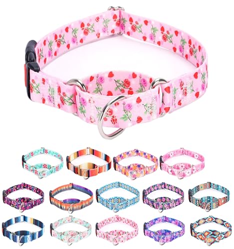 Moonpet Martingale Halsband für Hunde, verstellbar, weich, langlebig, für kleine, mittelgroße und große Jungen und männliche Hunde, kein Ziehen, rutschfeste Sicherheitsschnalle, Hundehalsband, Moonpet Martingale Halsband für Hunde, verstellbar, weich, langlebig, für kleine, mittelgroße und große Jungen und männliche Hunde, kein Ziehen, rutschfeste Sicherheitsschnalle, Hundehalsband, von Moonpet