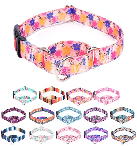 Moonpet Martingale Halsband für Hunde, verstellbar, weich, langlebig, für kleine, mittelgroße und große Jungen und männliche Hunde, kein Ziehen, rutschfeste Sicherheitsschnalle, Hundehalsband, Moonpet Martingale Halsband für Hunde, verstellbar, weich, langlebig, für kleine, mittelgroße und große Jungen und männliche Hunde, kein Ziehen, rutschfeste Sicherheitsschnalle, Hundehalsband, von Moonpet