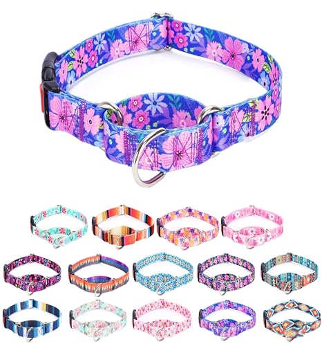 Moonpet Martingale Halsband für Hunde, verstellbar, weich, langlebig, für kleine, mittelgroße und große Jungen und männliche Hunde, kein Ziehen, rutschfeste Sicherheitsschnalle, Hundehalsband, dunkle Moonpet Martingale Halsband für Hunde, verstellbar, weich, langlebig, für kleine, mittelgroße und große Jungen und männliche Hunde, kein Ziehen, rutschfeste Sicherheitsschnalle, Hundehalsband, dunkle von Moonpet