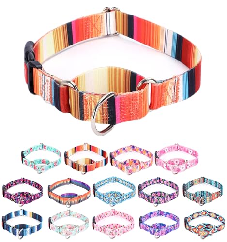 Moonpet Martingale Halsband für Hunde, verstellbar, weich, langlebig, für kleine, mittelgroße und große Jungen und männliche Hunde, kein Ziehen, rutschfeste Sicherheitsschnalle, Hundehalsband, Orange Moonpet Martingale Halsband für Hunde, verstellbar, weich, langlebig, für kleine, mittelgroße und große Jungen und männliche Hunde, kein Ziehen, rutschfeste Sicherheitsschnalle, Hundehalsband, Orange von Moonpet