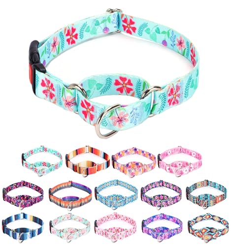 Moonpet Martingale Halsband für Hunde, verstellbar, weich, langlebig, für kleine, mittelgroße und große Jungen und männliche Hunde, kein Ziehen, rutschfeste Sicherheitsschnalle, Hundehalsband, Moonpet Martingale Halsband für Hunde, verstellbar, weich, langlebig, für kleine, mittelgroße und große Jungen und männliche Hunde, kein Ziehen, rutschfeste Sicherheitsschnalle, Hundehalsband, von Moonpet