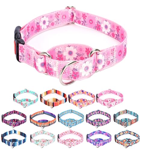 Moonpet Martingale Halsband für Hunde, verstellbar, weich, langlebig, für kleine, mittelgroße und große Jungen und männliche Hunde, kein Ziehen, rutschfeste Sicherheitsschnalle, Hundehalsband, rosa Moonpet Martingale Halsband für Hunde, verstellbar, weich, langlebig, für kleine, mittelgroße und große Jungen und männliche Hunde, kein Ziehen, rutschfeste Sicherheitsschnalle, Hundehalsband, rosa von Moonpet
