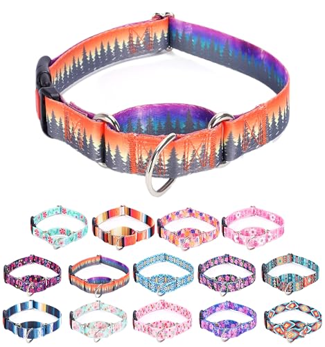 Moonpet Martingale-Halsband für Hunde, verstellbar, weich, langlebig, für kleine, mittelgroße und große Jungen und männliche Hunde, kein Ziehen, rutschfeste Sicherheitsschnalle, Hundehalsband, Wald / Moonpet Martingale-Halsband für Hunde, verstellbar, weich, langlebig, für kleine, mittelgroße und große Jungen und männliche Hunde, kein Ziehen, rutschfeste Sicherheitsschnalle, Hundehalsband, Wald / von Moonpet