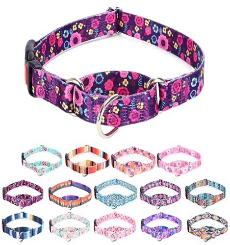 Moonpet Martingale Halsband für Hunde, verstellbar, weich, langlebig, für kleine, mittelgroße und große Jungen und männliche Hunde, kein Ziehen, rutschfeste Sicherheitsschnalle, Hundehalsband, Moonpet Martingale Halsband für Hunde, verstellbar, weich, langlebig, für kleine, mittelgroße und große Jungen und männliche Hunde, kein Ziehen, rutschfeste Sicherheitsschnalle, Hundehalsband, von Moonpet