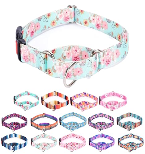 Moonpet Martingale Halsband für Hunde, verstellbar, weich, langlebig, für kleine, mittelgroße und große Jungen und männliche Hunde, kein Ziehen, rutschfeste Sicherheitsschnalle, Hundehalsband, Moonpet Martingale Halsband für Hunde, verstellbar, weich, langlebig, für kleine, mittelgroße und große Jungen und männliche Hunde, kein Ziehen, rutschfeste Sicherheitsschnalle, Hundehalsband, von Moonpet