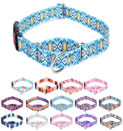 Moonpet Martingale Halsband für Hunde, verstellbar, weich, langlebig, für kleine, mittelgroße und große Jungen und männliche Hunde, kein Ziehen, rutschfeste Sicherheitsschnalle, Hundehalsband, blaues Moonpet Martingale Halsband für Hunde, verstellbar, weich, langlebig, für kleine, mittelgroße und große Jungen und männliche Hunde, kein Ziehen, rutschfeste Sicherheitsschnalle, Hundehalsband, blaues von Moonpet