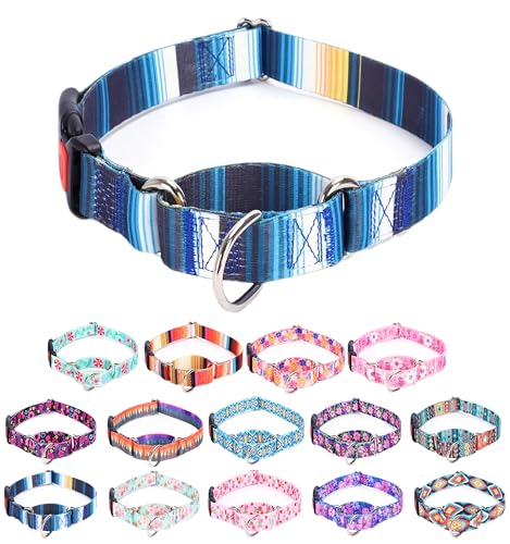 Moonpet Martingale Halsband für Hunde, verstellbar, weich, langlebig, für kleine, mittelgroße und große Jungen und männliche Hunde, kein Ziehen, rutschfeste Sicherheitsschnalle, Hundehalsband, Blau Moonpet Martingale Halsband für Hunde, verstellbar, weich, langlebig, für kleine, mittelgroße und große Jungen und männliche Hunde, kein Ziehen, rutschfeste Sicherheitsschnalle, Hundehalsband, Blau von Moonpet
