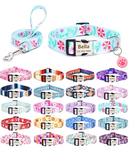 Moonpet Personalisierbares Hundehalsband mit Leine, Airtag-Halter, Etui-Set, individuelle Hundehalsbänder mit Name und Telefonnummer für kleine Hunde von Moonpet