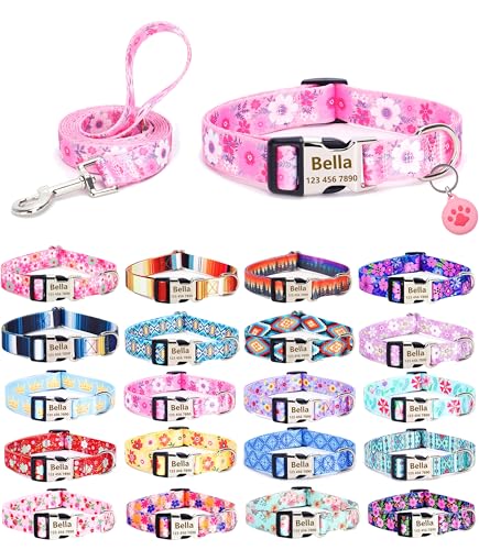 Moonpet Personalisierbares Hundehalsband mit Leine, Airtag-Halter, Etui-Set, individuelle Hundehalsbänder mit Name und Telefonnummer für kleine Hunde von Moonpet