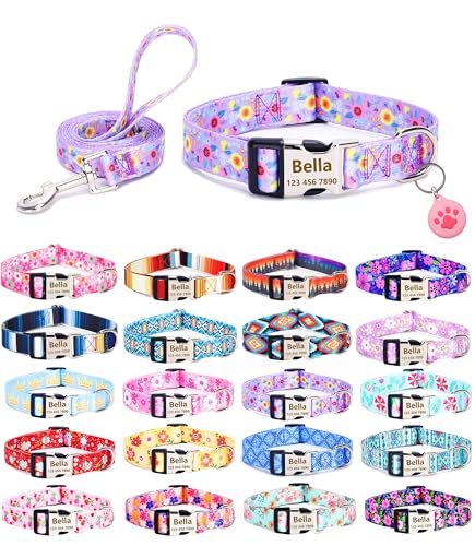 Moonpet Personalisierbares Hundehalsband mit Leine, Airtag-Halter, Etui-Set, individuelle Hundehalsbänder mit Namen, Telefonnummer für männliche, weibliche Welpen, X-Small und kleine Hunde Moonpet Personalisierbares Hundehalsband mit Leine, Airtag-Halter, Etui-Set, individuelle Hundehalsbänder mit Namen, Telefonnummer für männliche, weibliche Welpen, X-Small und kleine Hunde von Moonpet