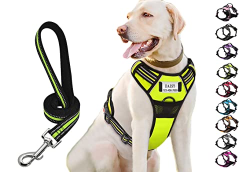 Moonpet Personalisiertes Anti Zug Hundegeschirr mit Leine Hunde Name und Telefonnummer für kleine mittel große X-große Hunde Spaziergang Laufen Zug von Moonpet
